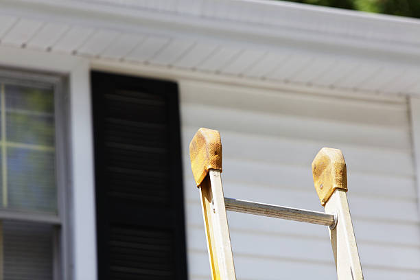 Best Siding Removal and Disposal  in San Juan, TX