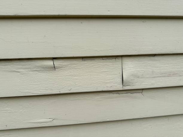 Best Stucco Siding  in San Juan, TX